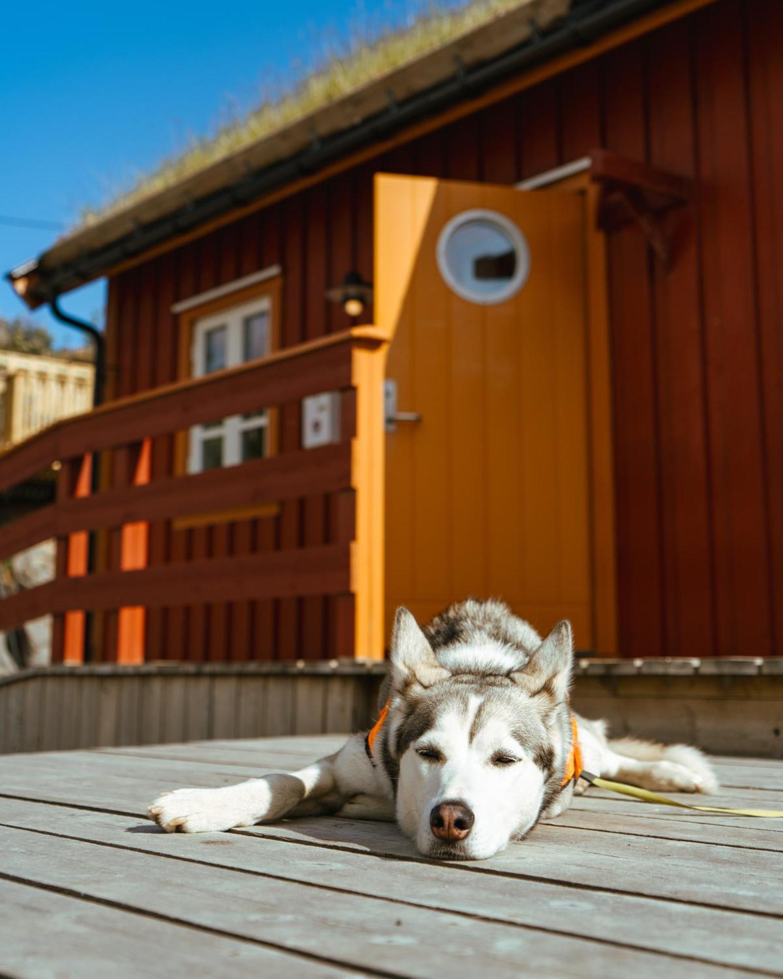 Reinefjorden Sjohus Apartment Exterior photo